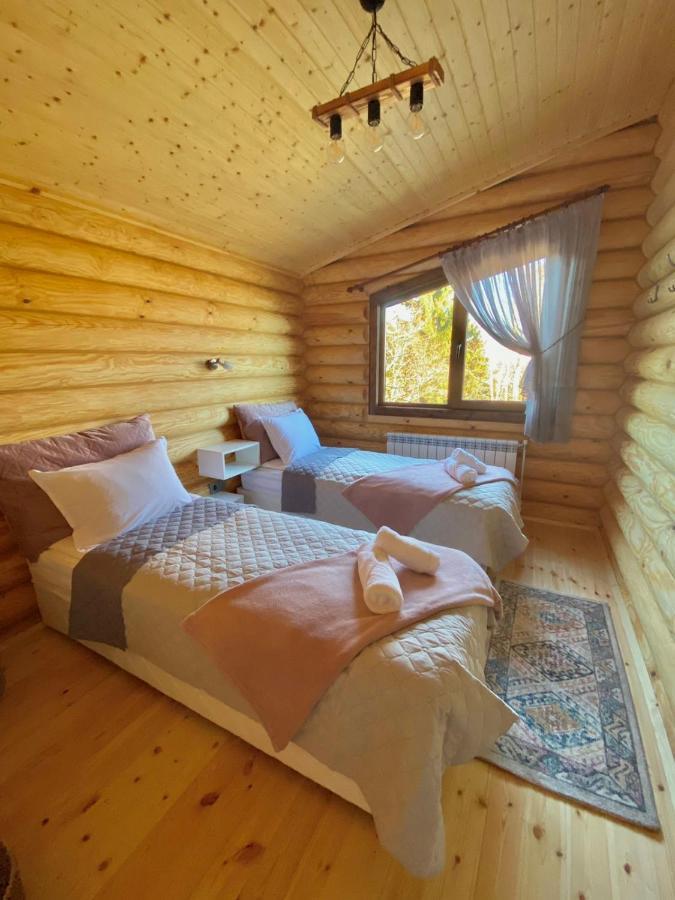 Вила Брезите Pamporovo Luaran gambar