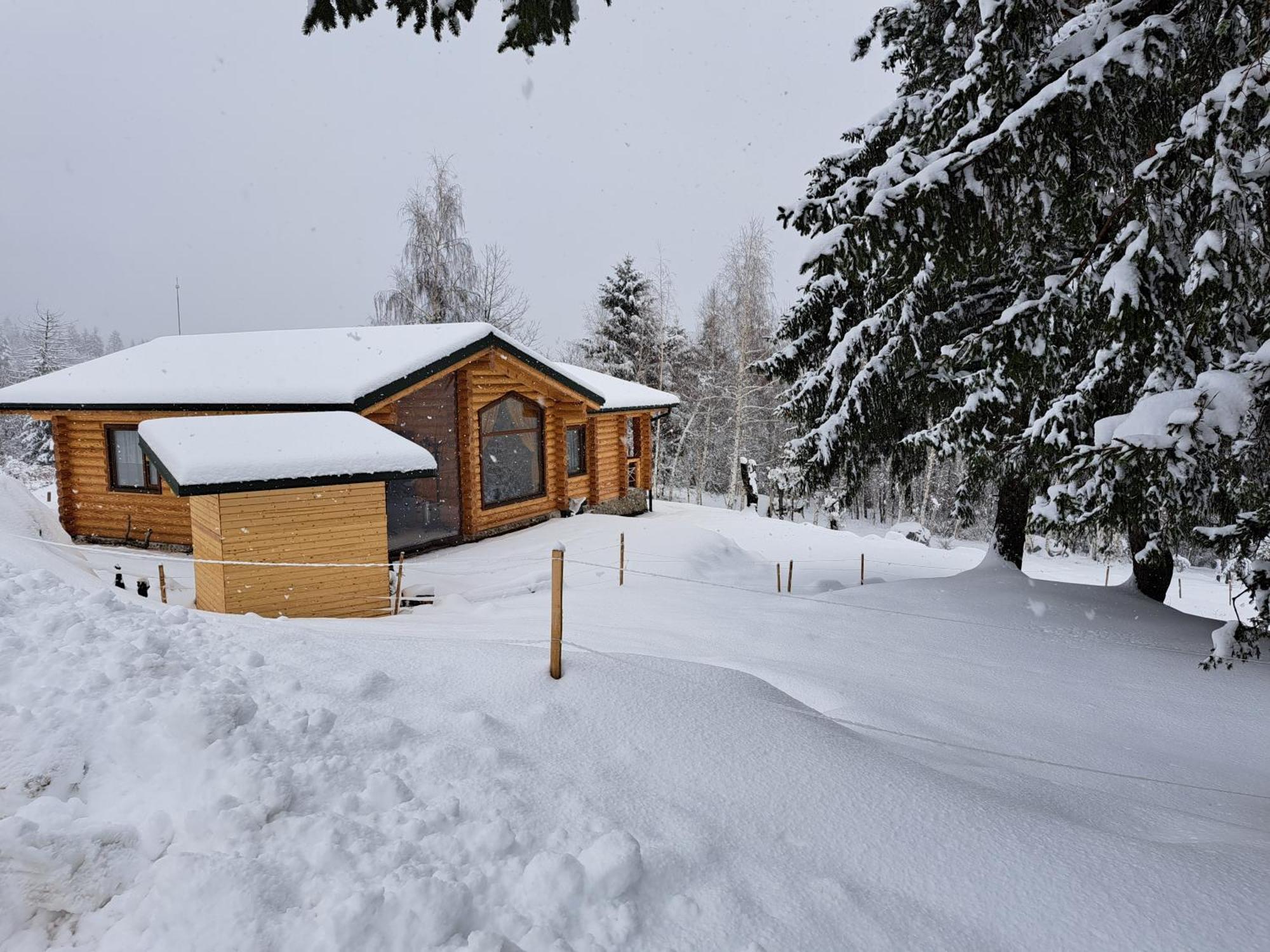 Вила Брезите Pamporovo Luaran gambar
